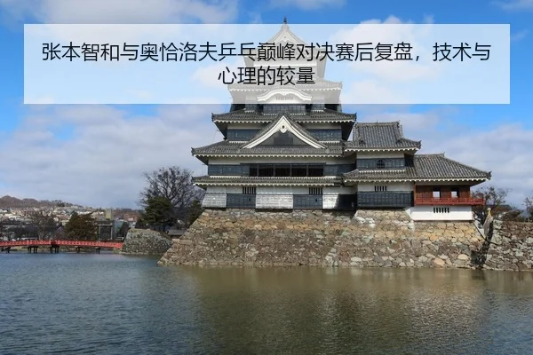 张本智和与奥恰洛夫乒乓巅峰对决赛后复盘，技术与心理的较量
