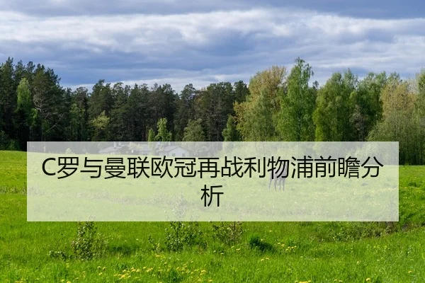 luo-yu-man-lian-ou-guan-zai-zhan-li-wu-pu-qian-zhan-fen-xi-2-339.jpg